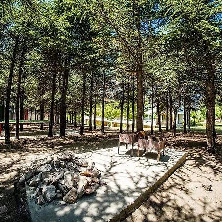 Apartment Crown Club