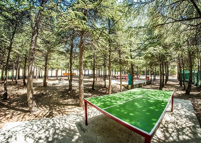 Crown Club * Sveti Vlas